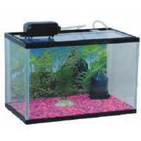 Best selling factory direct supply desktop glass fish aquarium tank kit with air pump and filter pump led light fish tank